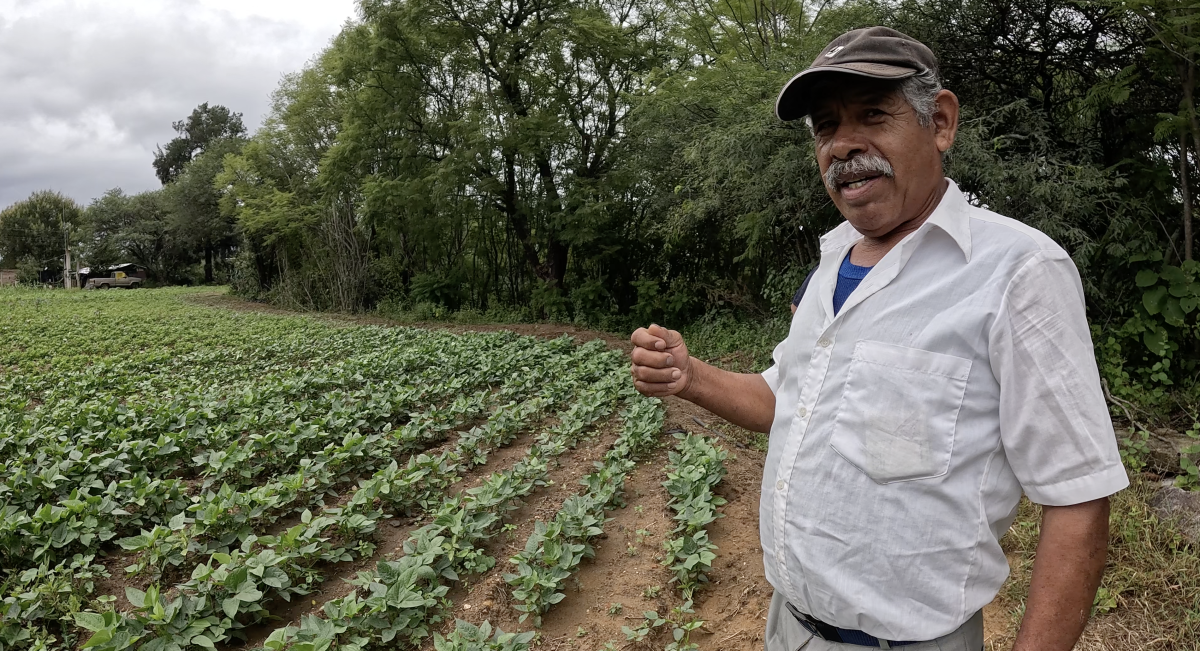 Agustín Gregorio Santiago, agricultor de la comunidad de Santa Lucía Ocotán de Morelos, Oaxaca. (Foto: CIMMYT)